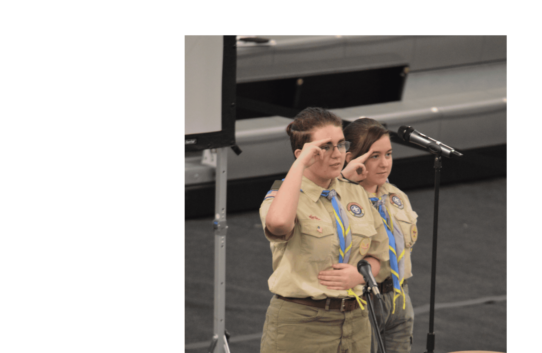 Scouts salute