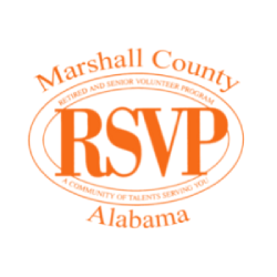 RSVP Income Tax Preparation Program